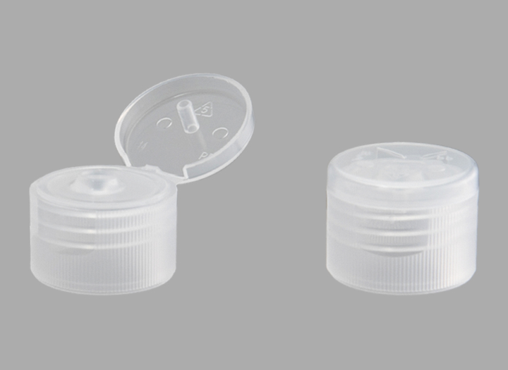 ফ্লিপ -২১